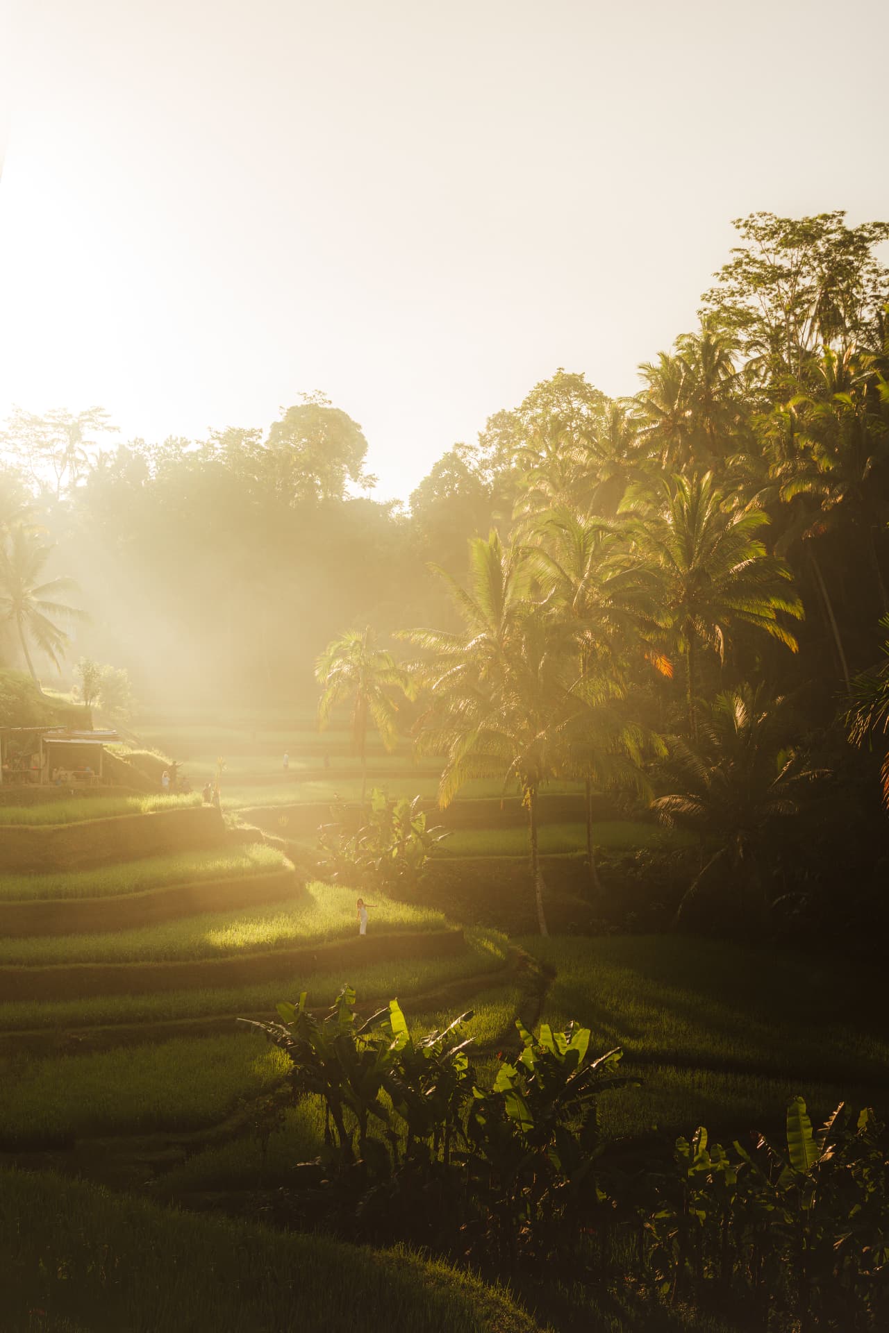 Golden Light Valley — Landscape photography by Studio Witell