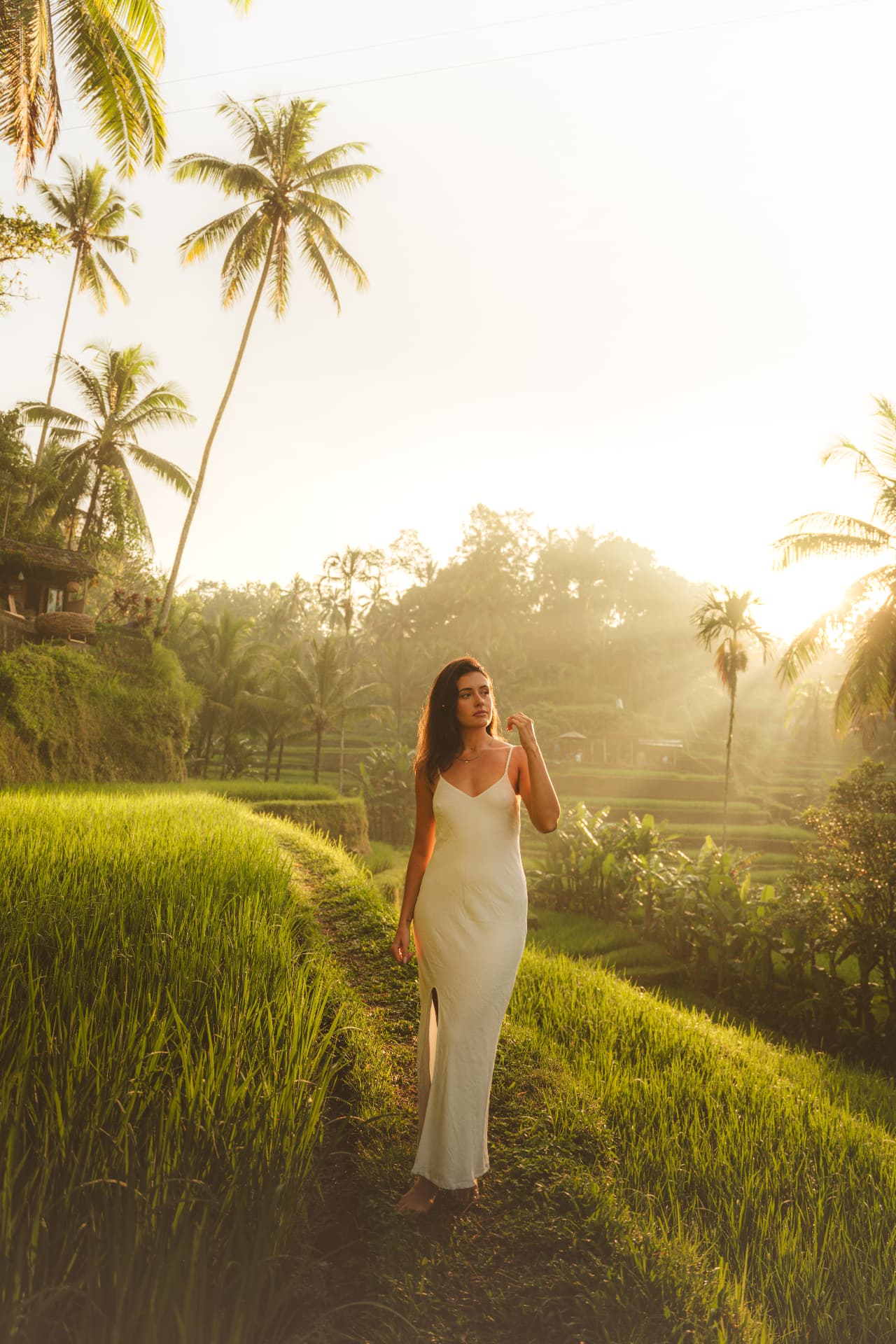 Rice Terrace Sunrise, photography by Studio Witell